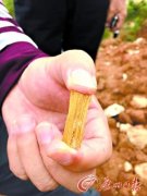 中国发现保存最完好的古尸，揭秘中国七大古尸