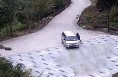 司机下车后被自己车撞死，司机自己撞死自己保