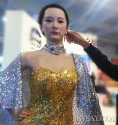 美女机器人身穿性感礼服图，揭秘机器人的发展