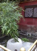 紫禁城故宫里面的诡异故事，故宫是由哪位皇帝