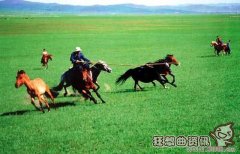 古代游牧民族一般吃什么？中国古代有那些游牧