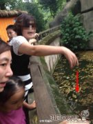 女人包包掉进动物园被老虎咬走，在动物园游览