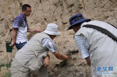 考古学家为何最怕碰见鸡蛋，考古学家不得善终