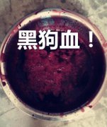 家里被淋了狗血会怎样，狗阳气重狗血能辟邪真