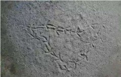 回煞日期的计算方法，回煞时人碰到会怎样会倒