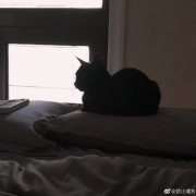 为什么不能坐到枕头上面，枕头被别人坐了会怎