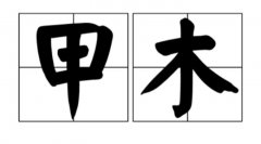 甲木人适合做什么行业，甲木人都非常有出息吗？