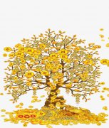 摇钱树现实中是什么树的别名，摇钱树和发财树是一种吗？