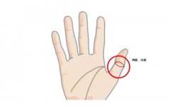 佛眼纹为什么要看左手，佛眼纹为什么也叫孔子眼呢？