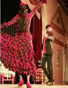 吉普赛人为什么被歧视，他们为什么喜欢流浪偷