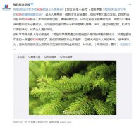 萜烯类物质对人体作用揭秘，可以大大延长人的寿命？
