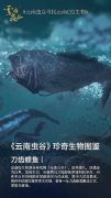 献王成仙了吗？献王墓有什么怪物
