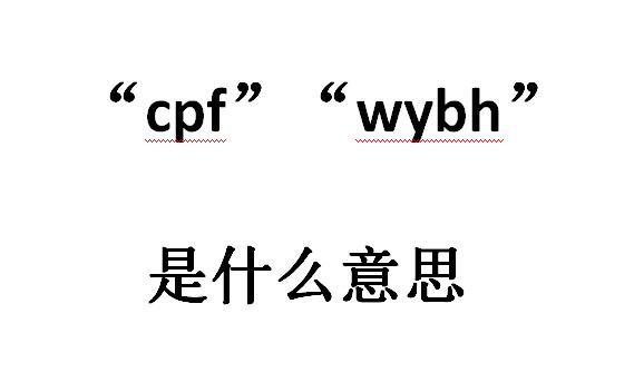 cpf、wybh是什么意思？