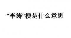 李涛梗是什么意思？李涛一下是什么意思？