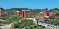 金泽大学日本排名，金泽大学相当于国内什么大学？
