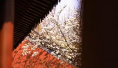 开悟的人气质变化是怎样的，开悟的人是什么状