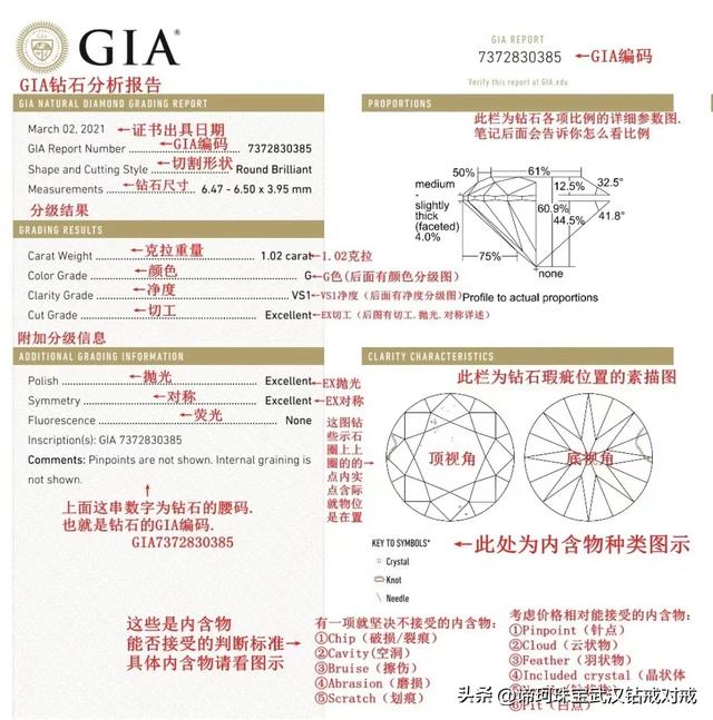 gia是什么意思网络用语(gia钻石是什么意思)
