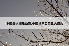 中国最大娱乐公司,中国娱乐公司三大巨头