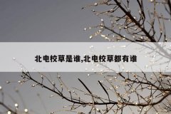 北电校草是谁,北电校草都有谁