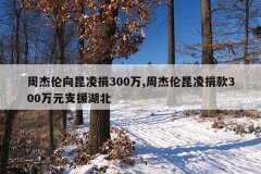 周杰伦向昆凌捐300万,周杰伦昆凌捐款300万元支援
