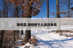 潘晓霜,潘晓婷个人简历身高