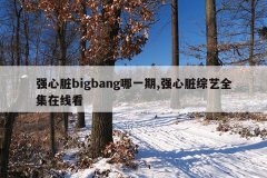 强心脏bigbang哪一期,强心脏综艺全集在线看