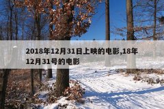 2018年12月31日上映的电影,18年12月31号的电影