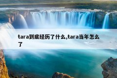 tara到底经历了什么,tara当年怎么了