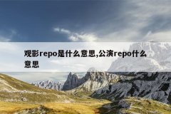 观影repo是什么意思,公演repo什么意思