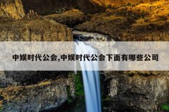 中娱时代公会,中娱时代公会下面有哪些公司