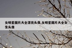 女明星图片大全漂亮头像,女明星图片大全女生头