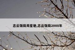 志云饭局周星驰,志云饭局2008年