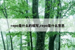 repo是什么的缩写,repo是什么意思