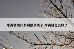 李贞贤为什么突然消失了,李贞贤怎么样了