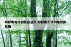 郑智薰电视剧作品全集,郑智薰主演的电视剧最新