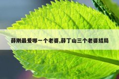薛刚最爱哪一个老婆,薛丁山三个老婆结局