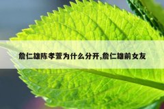 詹仁雄陈孝萱为什么分开,詹仁雄前女友