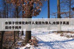 水猴子惊悚现身吓人竟因为像人,水猴子真面目终