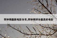 李钟硕最新电影分贝,李钟硕评分最高的电影