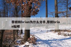 蔡妍和brian为什么分手,蔡妍brian贴吧