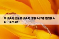 东楼头好还是西楼头号,东楼头好还是西楼头好还是中间好