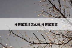 杜若溪家境怎么样,杜若溪家庭