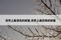 世界上最漂亮的螃蟹,世界上最恐怖的螃蟹