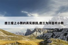 唐三爱上小舞的真实原因,唐三为何喜欢小舞