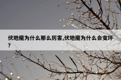 伏地魔为什么那么厉害,伏地魔为什么会变坏?