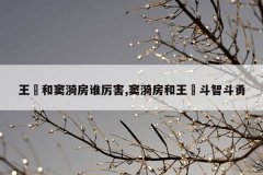 王娡和窦漪房谁厉害,窦漪房和王娡斗智斗勇