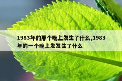 1983年的那个晚上发生了什么,1983年的一个晚上发
