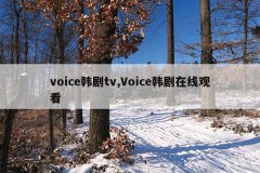 voice韩剧tv,Voice韩剧在线观看