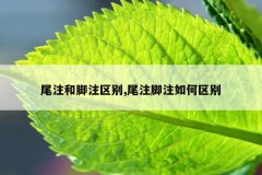 尾注和脚注区别,尾注脚注如何区别