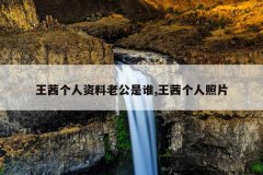 王茜个人资料老公是谁,王茜个人照片